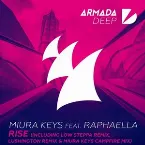 Pochette Rise (Remixes)