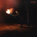 Pochette Stealing Fire