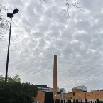 Pochette ALL THE VOICES