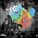 Pochette Darkhorse