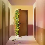 Pochette 뭔가 잘못됐어