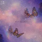 Pochette BUTTERFLY
