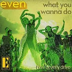 Pochette What You Wanna Do