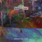 Pochette Miracle Love (Live)