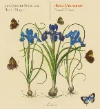 Pochette Grands Motets