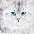 Pochette 동화일기