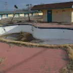 Pochette The March Flog