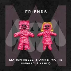 Pochette FRIENDS (Borgeous remix)