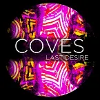 Pochette Last Desire
