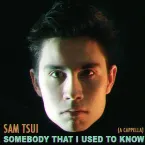 Pochette Somebody That I Used to Know (a cappella)