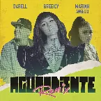 Pochette Aguardiente (remix)
