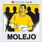 Pochette Molejo - iCollection