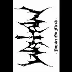 Pochette Puzzles ov Flesh