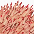 Pochette Unseen World