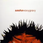 Pochette Wavy Gravy