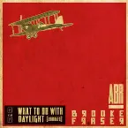 Pochette What to do with Daylight [Abridged]