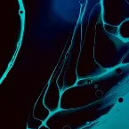 Pochette The Zero Point Energy of Artificially Induced Altered States of Consciousness