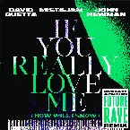 Pochette If You Really Love Me (How Will I Know) (David Guetta & MORTEN Future Rave Remix)