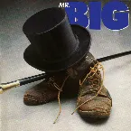 Pochette Mr. Big