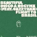 Pochette Flight to Brasil