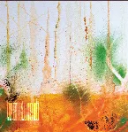 Pochette Translucent