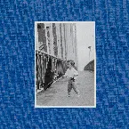 Pochette Nerve