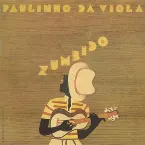 Pochette Zumbido