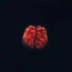 Pochette Passing Thought