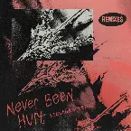 Pochette Never Been Hurt (Remixes)