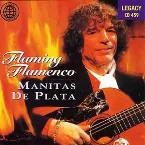 Pochette Flaming flamenco