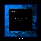 Pochette Fluidity