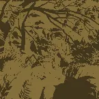 Pochette Exotic Landscape