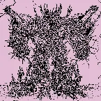 Pochette Mass Hysteria