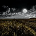 Pochette Moon Gazing