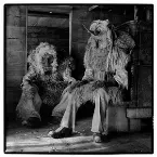 Pochette A Map of Guilt