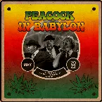 Pochette Peacock in Babylon