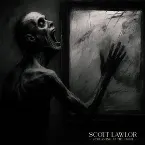 Pochette Screaming at the Gray