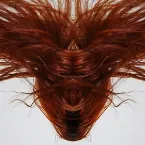 Pochette A Collection of Hair