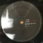 Pochette Ramifications LP Sampler