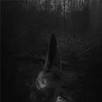 Pochette Solivagant Ghost of Cimmerian Woods