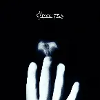 Pochette The Last Flower (live in Aschaffenburg)