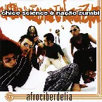 Pochette Afrociberdelia