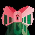 Pochette The Mirror