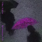 Pochette 又見大雨