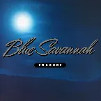 Pochette Blue Savannah