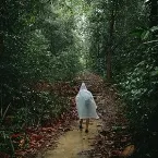 Pochette Bung Jagoi - In the Forest