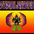 Pochette The Waterfront Years 1991 - 1993
