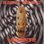 Pochette Megabite