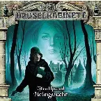 Pochette Heimgesucht