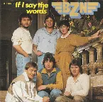 Pochette If I Say the Words